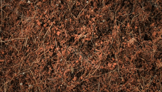 1595769415380.png 1595769415380.png