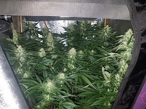 week10.jpg week10.jpg