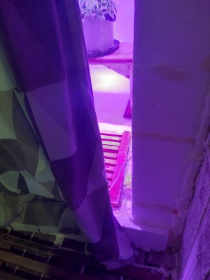 20241118_203704.jpg