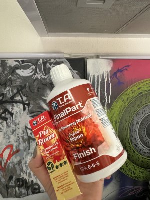 IMG_4420.jpeg