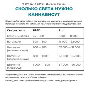 1000015411.jpg