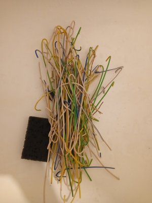 IMG20250322135049.jpg