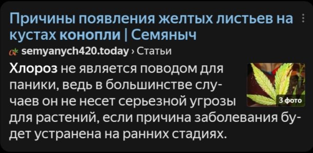 Screenshot_20250409_064041.jpg