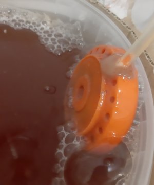 20250415_125539.jpg