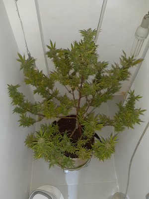 20220413_105359.jpg