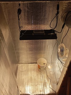 1000077177.jpg