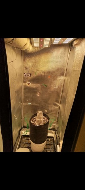 1000003669.jpg