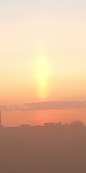 S50529-00073237.png