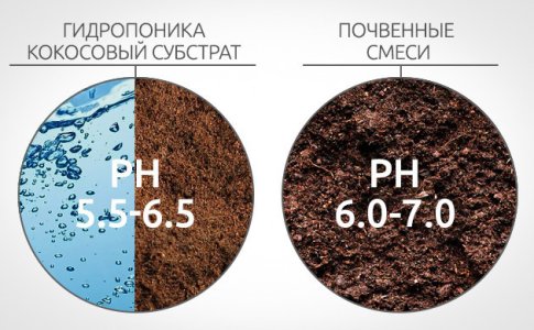 neblagopriyatnyj-uroven-ph__GDOTp413IOuLCZGI.jpg neblagopriyatnyj-uroven-ph__GDOTp413IOuLCZGI.jpg