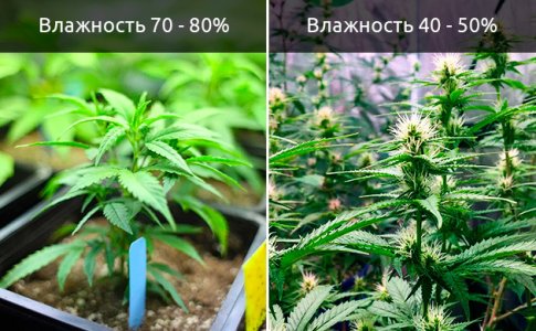vlazhnost-vozduha__ubCIXKeDpTqis6YE.jpg vlazhnost-vozduha__ubCIXKeDpTqis6YE.jpg