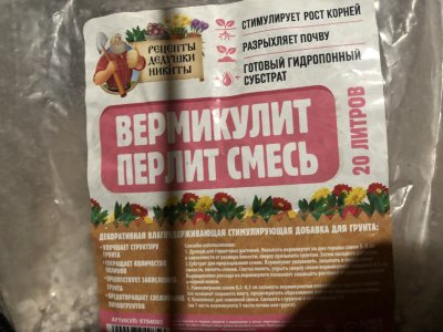 IMG_3860.jpeg