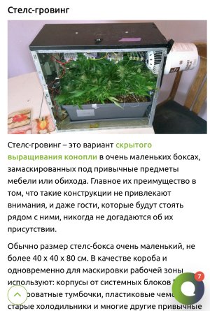 IMG_9111.jpeg