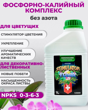 1212121212.png