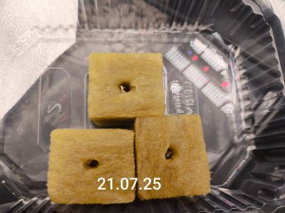 5204032966156744244.jpg