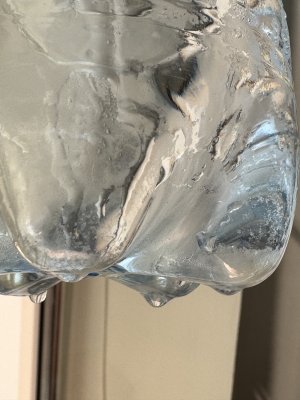IMG_1111.jpeg