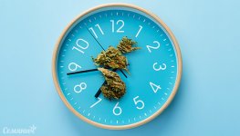 mozhet-li-kannabis-so-vremenem-isportitsya__eEHAdxBfPXQJrU7b.jpg
