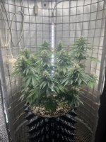 IMG_0070.jpeg