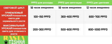 1f0f6076385cedfc02310.png 1f0f6076385cedfc02310.png