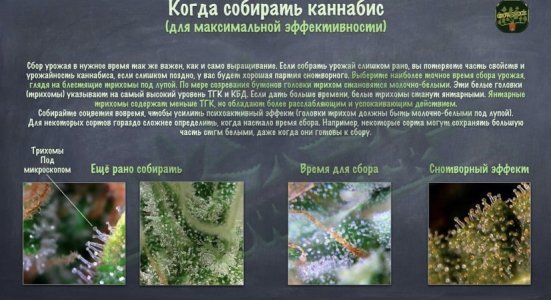 C008D3C0-AB75-4285-BC7D-9E1A6EBA4E40.jpeg