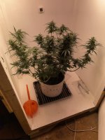 IMG_0298.jpeg