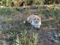 IMG_20250831_081204.jpg
