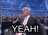 giphy (4)4545.gif