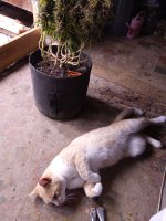 IMG_20250910_071226.jpg