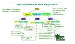 IMG_7957.jpeg