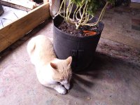 IMG_20250910_071134.jpg