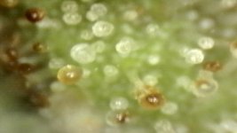 20250910-204406-464.jpg