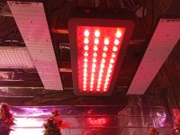 IMG_20250907_082118.jpg