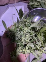 IMG_0570.jpeg