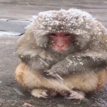 sticker.gif