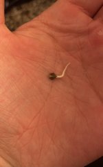 IMG_1406.jpeg