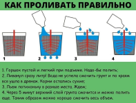 1758623880918.png