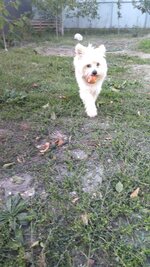 IMG_20250927_171811.jpg