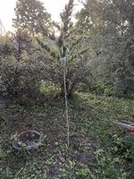IMG_0673.jpeg