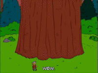 giphy9898776.gif