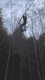 oh-fell.gif oh-fell.gif