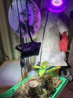 IMG_8771.jpeg