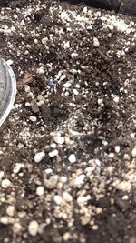 P_20250930_200744.jpg