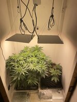 IMG_0704.jpeg