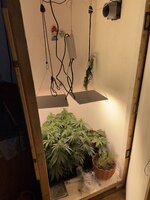 IMG_0726.jpeg