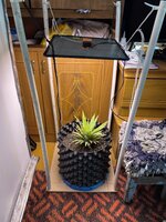 IMG_0744.jpeg