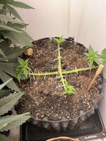 IMG_0745.jpeg