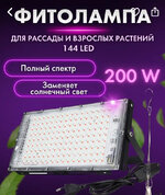 IMG_4072.jpeg