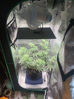 IMG_8745.jpeg