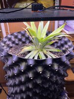 IMG_0819.jpeg