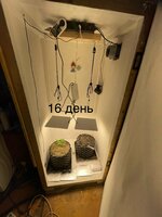 IMG_0463.jpeg