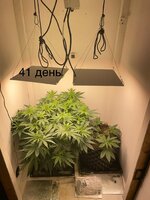 IMG_0704.jpeg